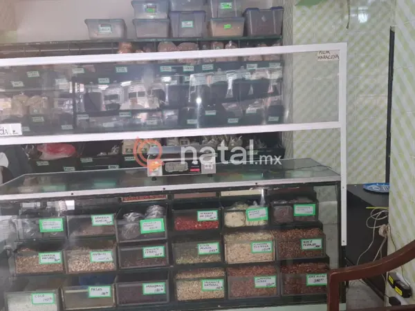 Local en venta en Centro, León — foto 3 de 11