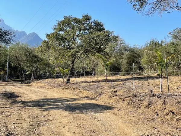 Terreno en venta en El Pastor, Montemorelos — foto 2 de 12