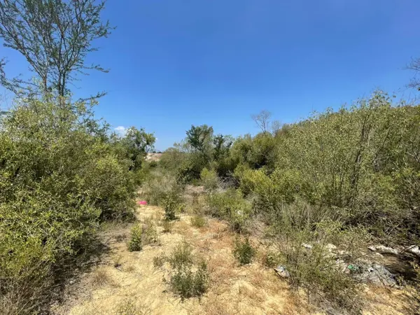 Terreno en venta en El Porvenir, Allende — foto 3 de 8
