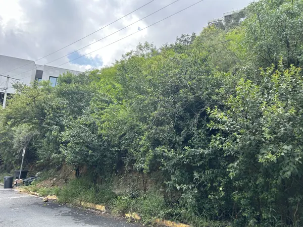 Terreno Sierra del Valle San Pedro Venta
