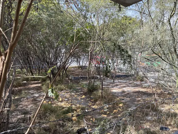 Terreno en renta en Agrícola Acero, Monterrey — foto 2 de 8