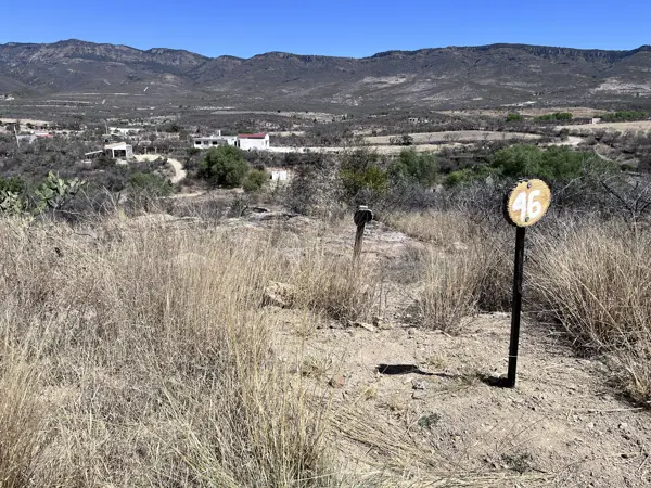 TERRENO camino a bernalejo LAGOS DE MORENO JALISCO VENTA
