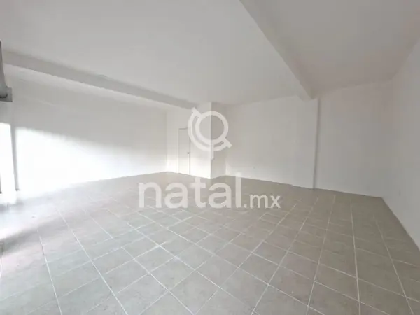 Local en renta en Los Dicios, San Martín Texmelucan — foto 3 de 10