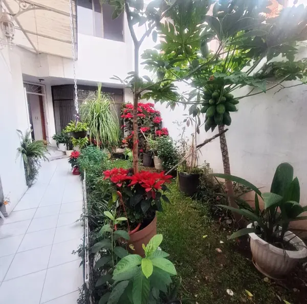 Casa en venta en Camelinas, Morelia — foto 2 de 12
