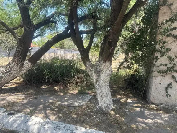 Terreno en venta en Campestre San Isidro, El Marqués — foto 2 de 6