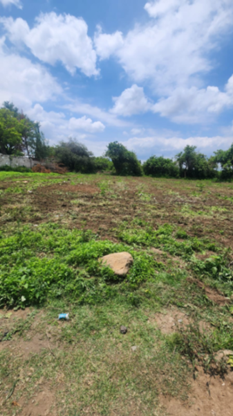 Terreno en renta en Huaquechula, Huaquechula — foto 3 de 11
