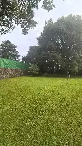 Terreno en venta en Ahuatepec, Cuernavaca — foto 3 de 4