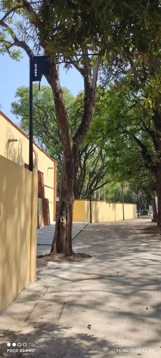 Terreno en venta en Centro Jiutepec, Jiutepec — foto 1 de 21