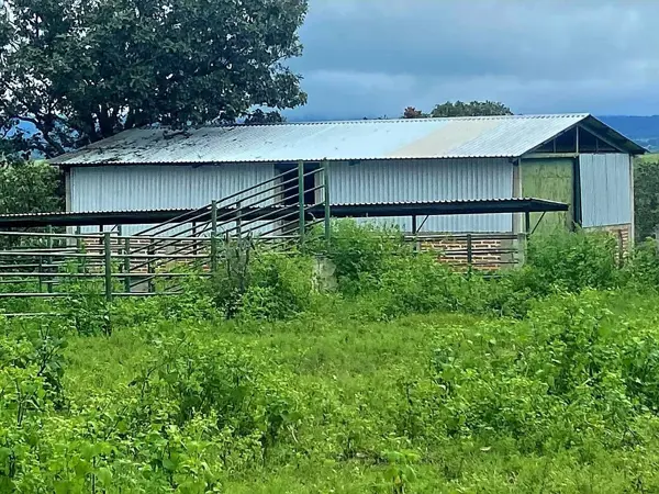 Finca-Rancho en venta en Quila, Tecolotlán — foto 3 de 47