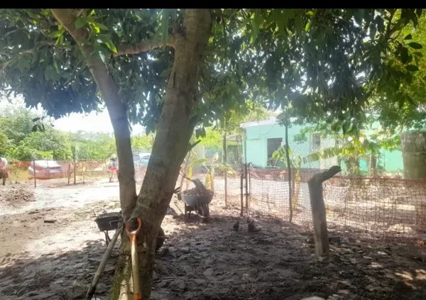 Terreno en venta en Lázaro Cárdenas, Medellín de Bravo — foto 3 de 6