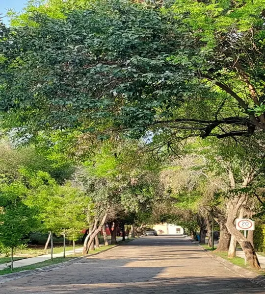 Exclusivo Terreno Residencial | Naturaleza y Privacidad a 400 M de Carretera Nacional