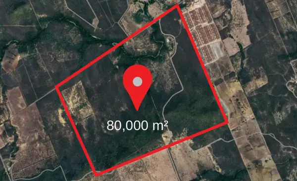 Terreno en Renta en Las Adjuntas, Montemorelos, Nuevo León 5