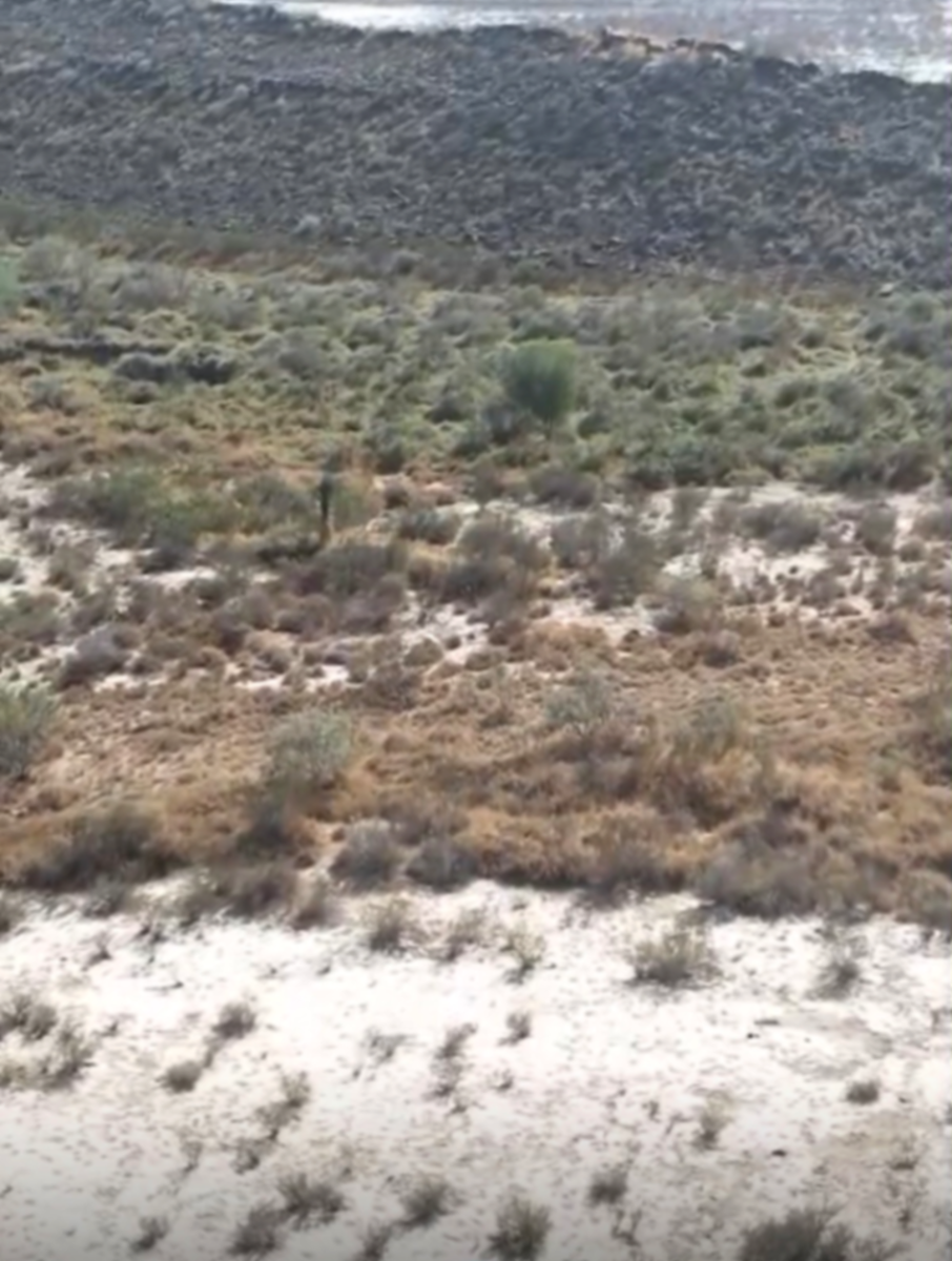 Terreno en venta en San Juan de Amargos, Ramos Arizpe — foto 1 de 5