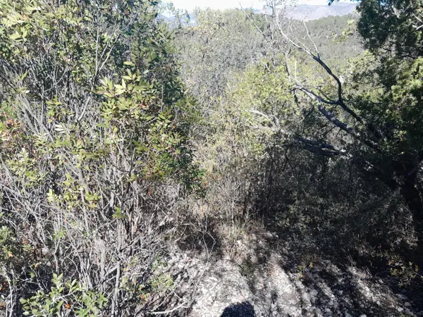 Terreno en venta en San Antonio de las Alazanas, Arteaga — foto 2 de 9