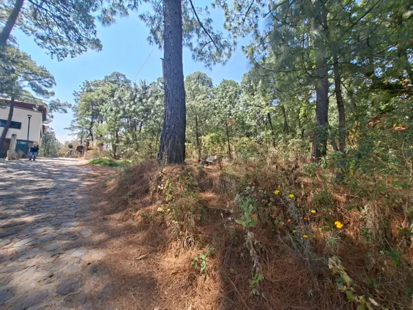 Terreno en venta en Mazamitla, Mazamitla — foto 2 de 24