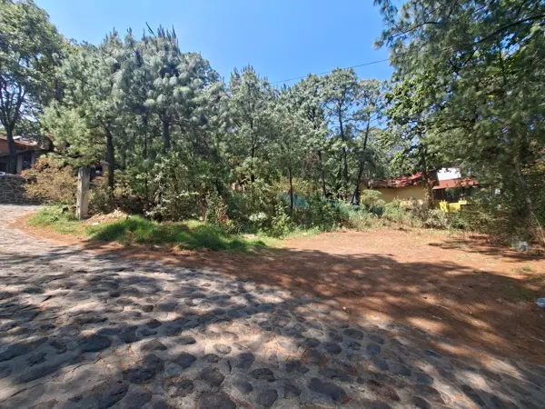 Terreno en venta en Mazamitla, Mazamitla — foto 3 de 24