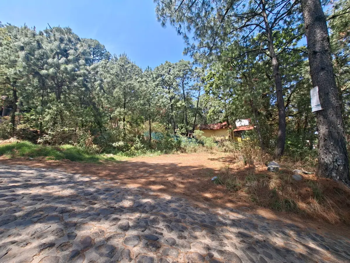Terreno en venta en Mazamitla, Mazamitla — foto 1 de 24
