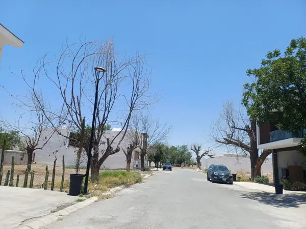 Terreno en venta en Las Trojes, Torreón — foto 3 de 4