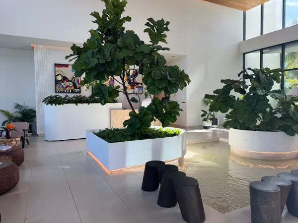 Departamento en renta en Cancún, Benito Juárez — foto 3 de 50