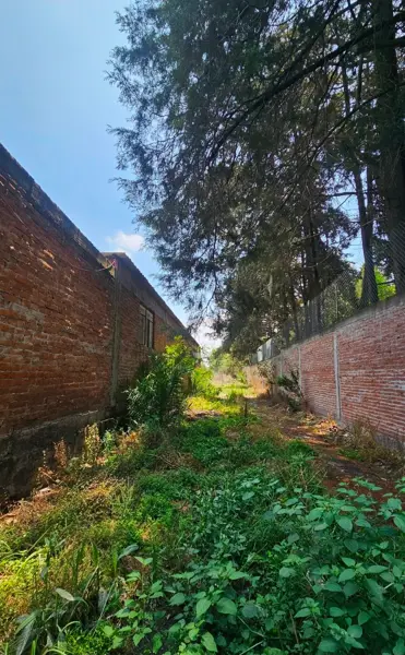 Terreno en venta en San Andrés Chiautla Centro, Chiautla — foto 2 de 7