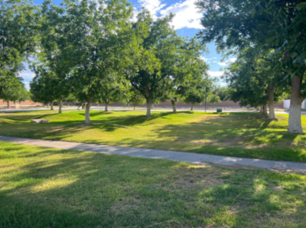 Terreno en venta en La Barranca, Torreón — foto 2 de 7
