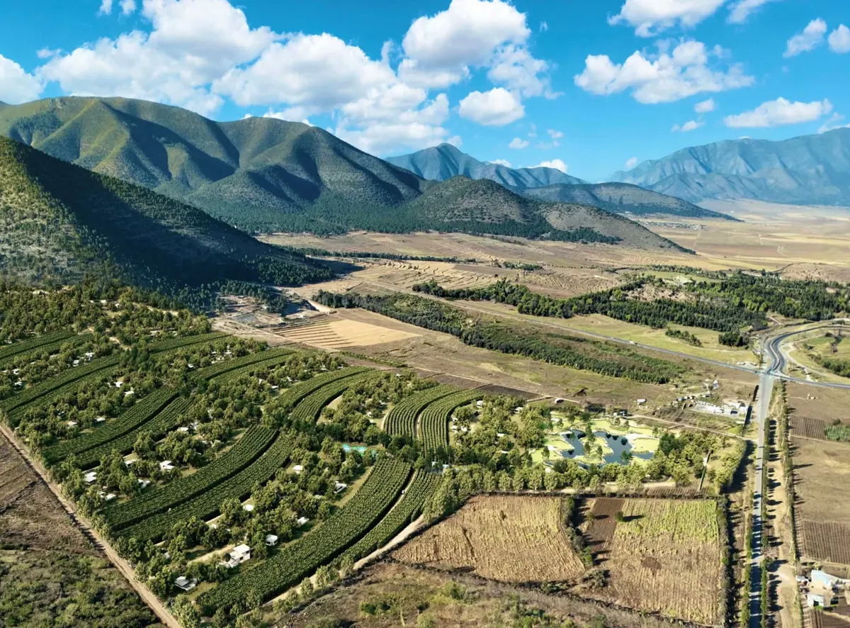 Terreno en venta en Huachichil (El Huache), Arteaga — foto 1 de 12