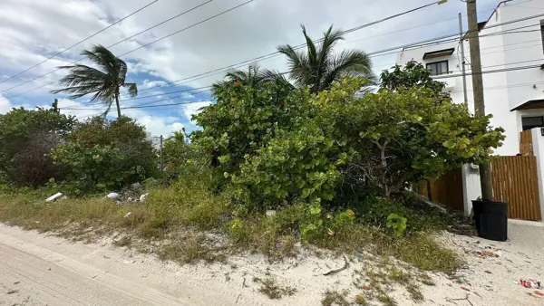 Terreno en venta en San Benito, Dzemul — foto 3 de 3
