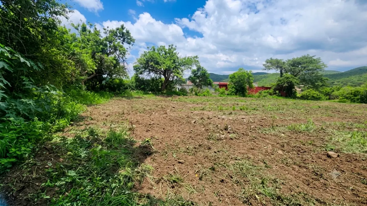 Terreno en renta en Huaquechula, Huaquechula — foto 1 de 11