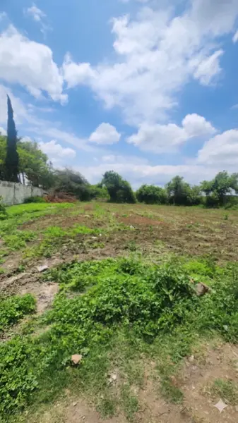 Terreno en renta en Huaquechula, Huaquechula — foto 2 de 11