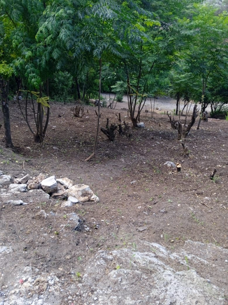 Terreno en venta en Rincon de la Sierra, Guadalupe — foto 2 de 4