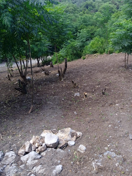 Terreno en venta en Rincon de la Sierra, Guadalupe — foto 3 de 4