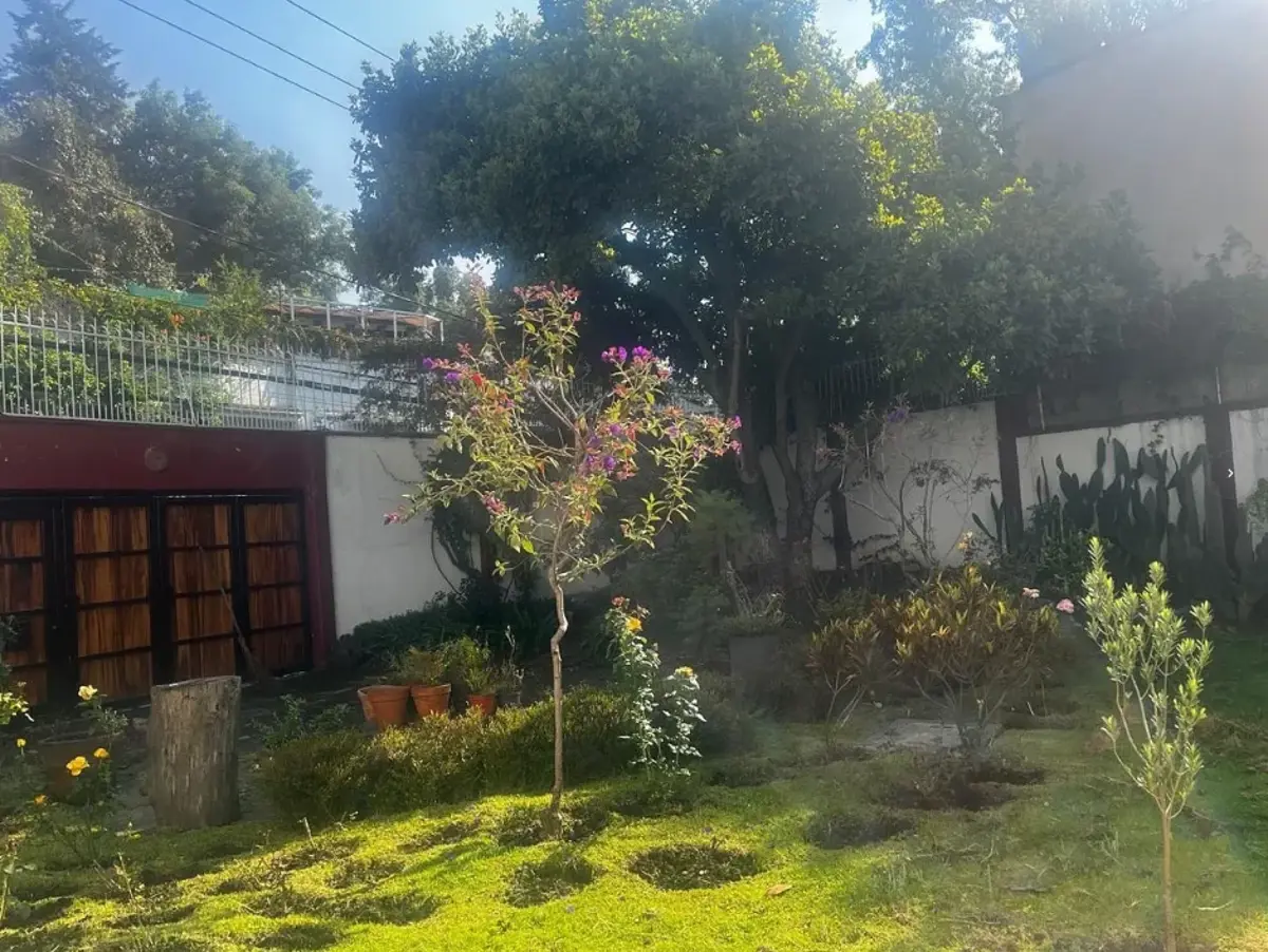 Terreno en venta en San Angel, Álvaro Obregón — foto 1 de 7