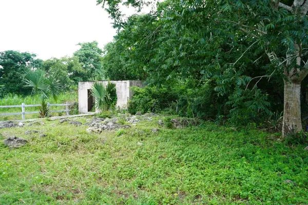 Finca-Rancho en venta en Buctzotz, Buctzotz — foto 3 de 48