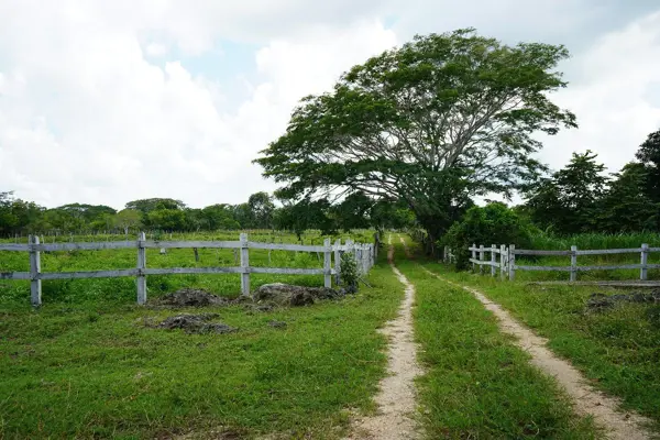 Finca-Rancho en venta en Buctzotz, Buctzotz — foto 2 de 48
