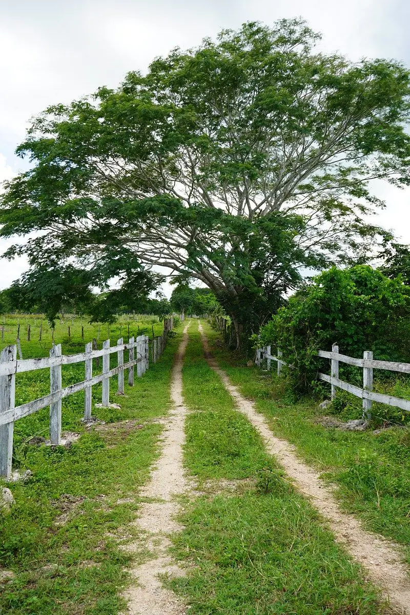 Finca-Rancho en venta en Buctzotz, Buctzotz — foto 1 de 48
