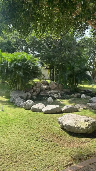 Terreno en venta en Dzitya, Mérida — foto 3 de 4