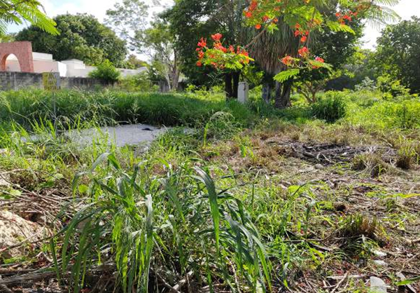 Terreno en venta en Cholul, Mérida — foto 3 de 5