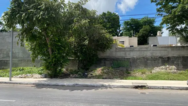 Terreno en renta en Merida Centro, Mérida — foto 3 de 6