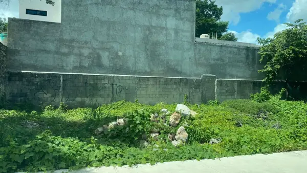 Terreno en renta en Merida Centro, Mérida — foto 2 de 6