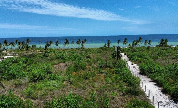 Terreno en venta en San Crisanto, Sinanché — foto 2 de 4