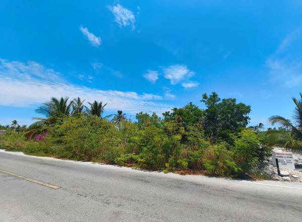Terreno en venta en San Crisanto, Sinanché — foto 3 de 4