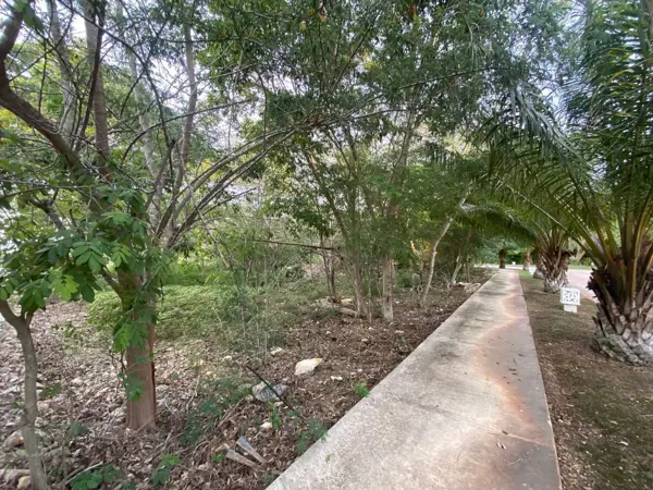 Terreno en venta en Yucatán Country Club, Mérida — foto 3 de 13