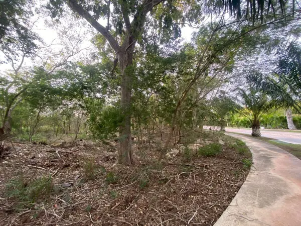Terreno en venta en Yucatán Country Club, Mérida — foto 2 de 13