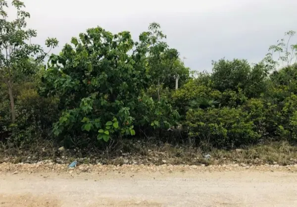 Terreno en venta en Isla Blanca, Isla Mujeres — foto 3 de 4