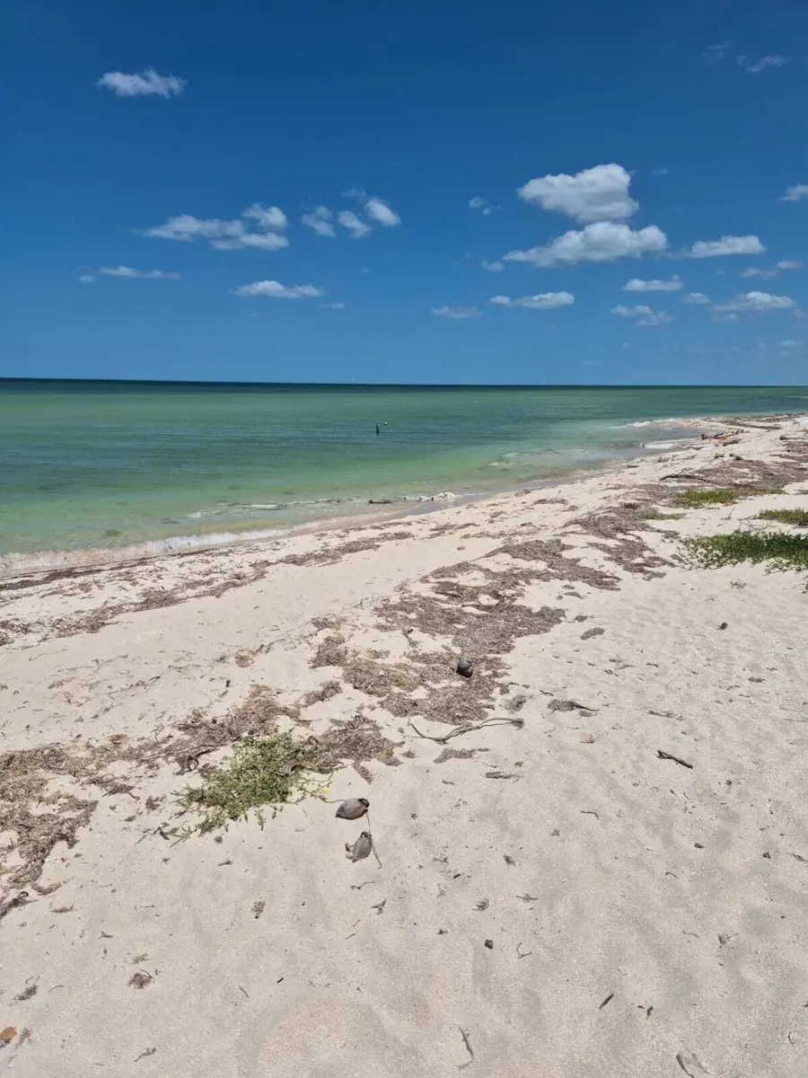 Terreno en Venta en Playa San Benito, Yucatán, frente al mar Terreno en Venta en Playa San Benito, Yucatán, frente al mar