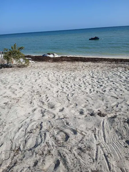 Terreno en venta en Dzemul, Dzemul — foto 3 de 10