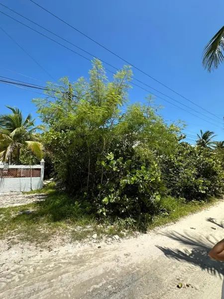 Terreno en venta en Xtampú, Dzemul — foto 2 de 6