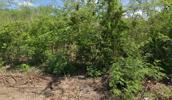 Terreno en venta en Conkal, Conkal — foto 2 de 2