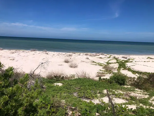 Terreno en venta en Sisal, Hunucmá — foto 2 de 5