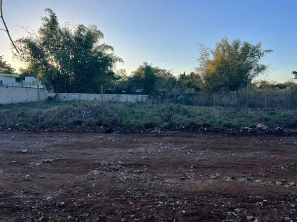 Terreno en renta en Chichi Suarez, Mérida — foto 3 de 4